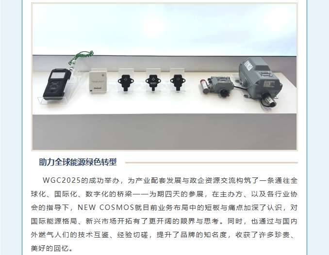 賦能可持續(xù)未來！熱烈慶賀新宇宙集團(tuán)WGC2025參會(huì)圓滿成功！(圖8)